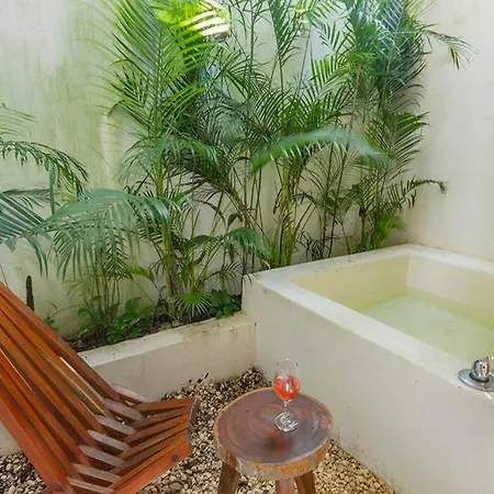 Apartment Encantador Estudio Con Alberca Privada En Tulum