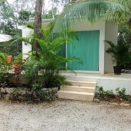 Ixchel Private Pool Apartment *