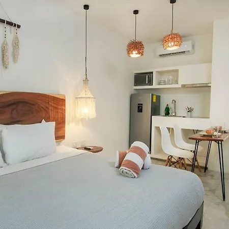 Encantador Estudio Con Alberca Privada En Tulum