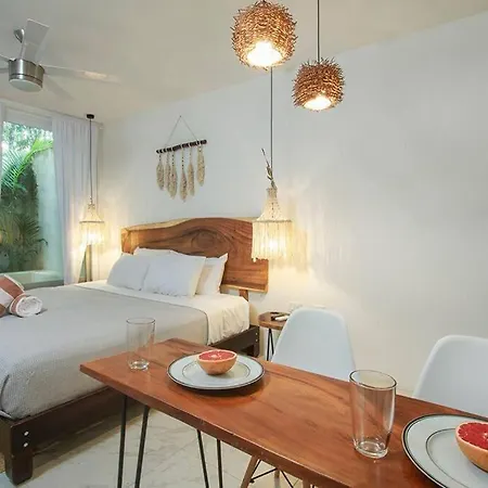 Encantador Estudio Con Alberca Privada En Apartment