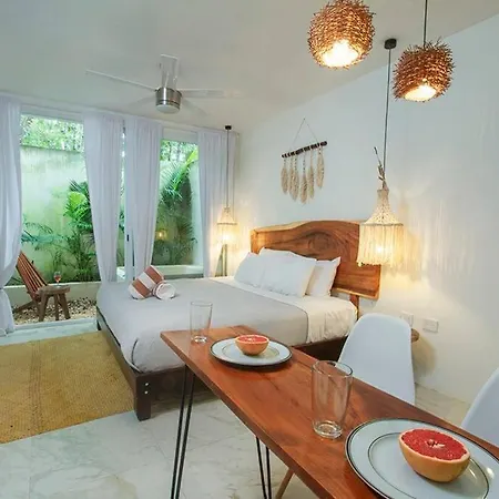 Encantador Estudio Con Alberca Privada En Apartment *