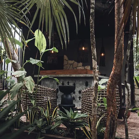 Siwa Wellness Villa Collection Hotel Tulum