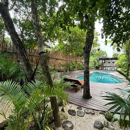 Exclusive Jungle Cozy Private Apartment Tulum