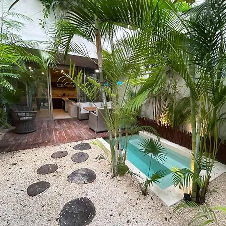 Exclusive Jungle Cozy Private