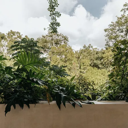 Virginia Rooftop Oasis Retreat Tulum