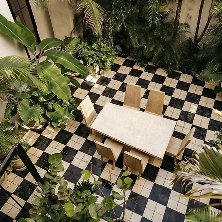 Virginia Rooftop Oasis Retreat Tulum