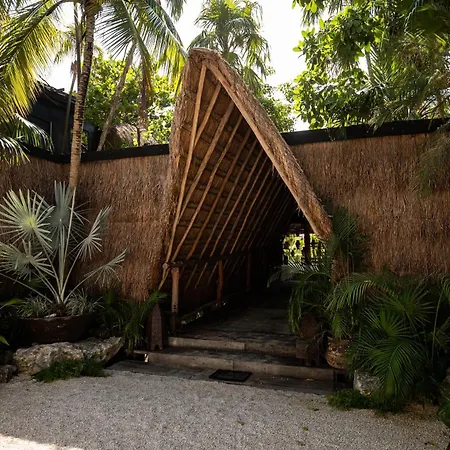 Radhoo (adults Only) Hotel Tulum