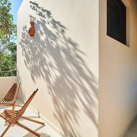 Exotic For 10 People With Cenote-style Pool * Tulum