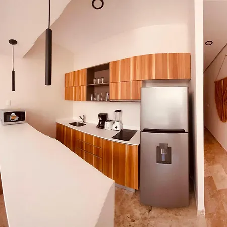 Oscar Wilde - Ph With Private Rooftop And Plunge Pool & Gym & Club Access