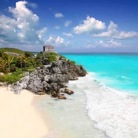 New 5 Star Condo-infinity And Cenote Pool