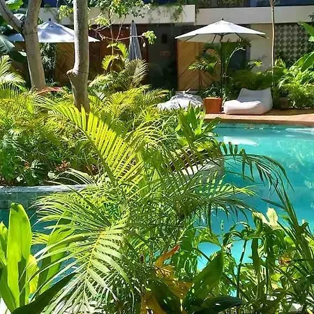 New 5 Star Condo-infinity And Cenote Pool * Tulum