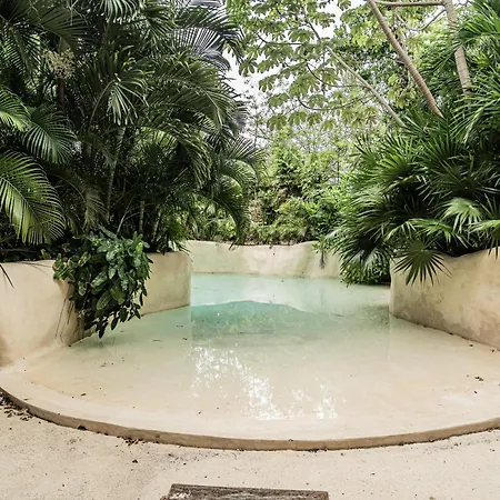 Departamento Con Piscina Privada Apartment Tulum