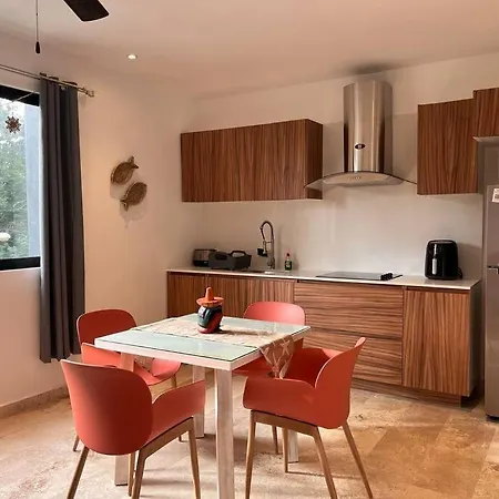 Nuevo Apartamento De 1 Dormitorio, Aldea Zama, Apartment