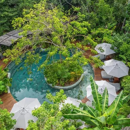 5 Star Private Plunge Pool-cenote Pool Spa