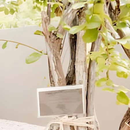 Villa Jungle Retreat Selva Pixan Tulum