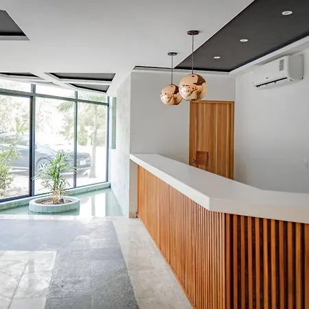 Comfortable 1 Bedroom In Elena 201 Aldea Zama Apartment