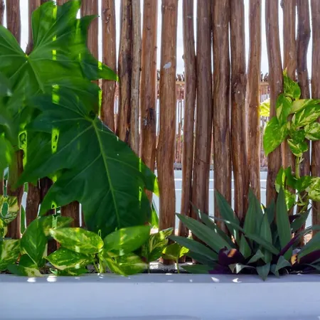 Pent House De Lujo Con Roof Privado Rodeado De Naturaleza