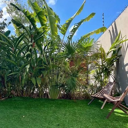 Villa Exotic For 10 People With Cenote-style Pool Tulum