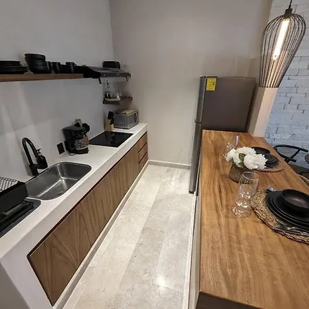 101 Amplio Departamento Con Alberca Privada Planta Baja Apartment