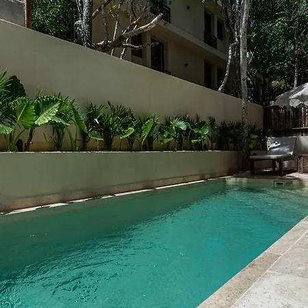 101 Amplio Departamento Con Alberca Privada Planta Baja Apartment