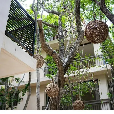 Apartment 101 Amplio Departamento Con Alberca Privada Planta Baja