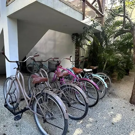 Apartment 1 *