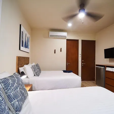 Homely And Equipped 2br In Paramar Ve - With Swim Up Pool In Aldea Zama Apartment *