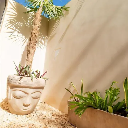 Apartment Private Yard & Cool Tub Wifi 1 Bed 3 Guest Tulum