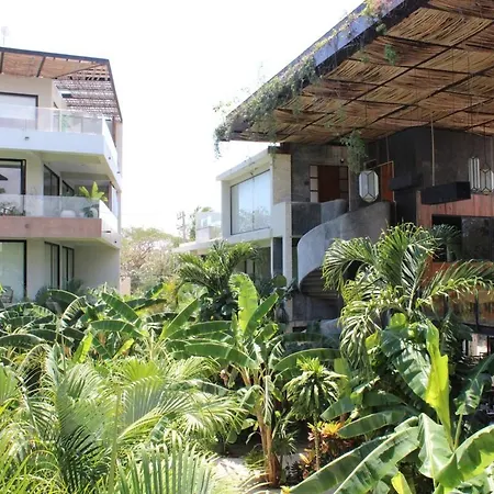 Xperience 1br Pool Gym And Yoga Palapa *