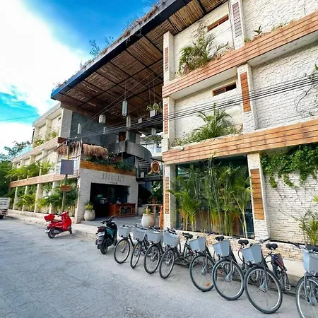 Xperience 1br Pool Gym And Yoga Palapa * Tulum