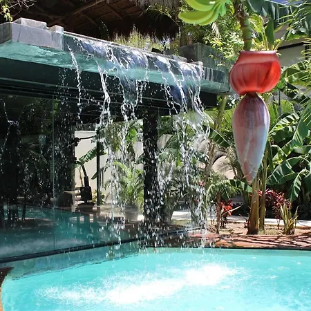 Xperience 1br Pool Gym And Yoga Palapa Apartment