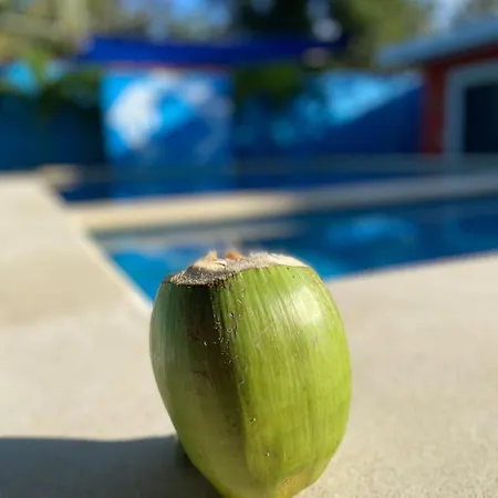 Casa En *