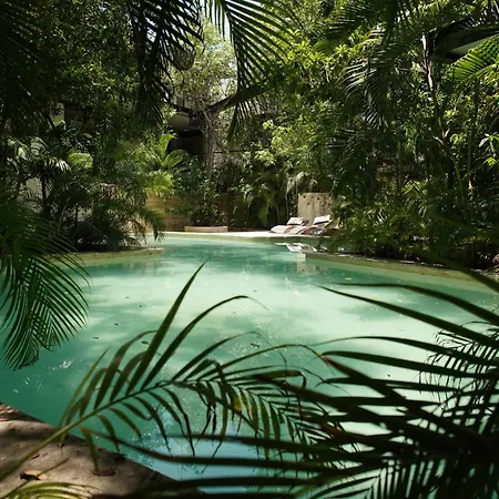 Thoth Departamento En La Veleta * Tulum