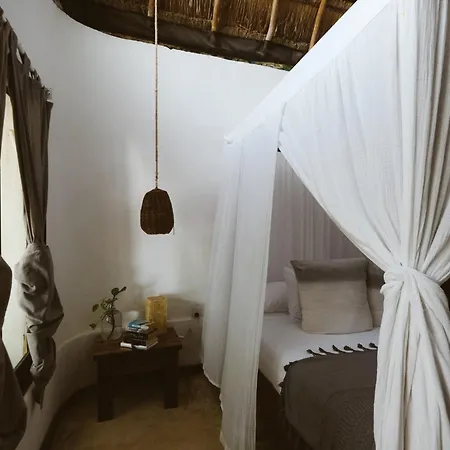 Casa Violeta Hotel
