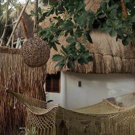 Casa Violeta Hotel Tulum