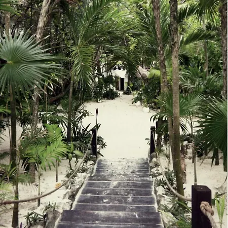 Casa Violeta Hotel 3*