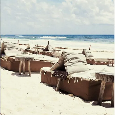Casa Violeta Hotel Tulum