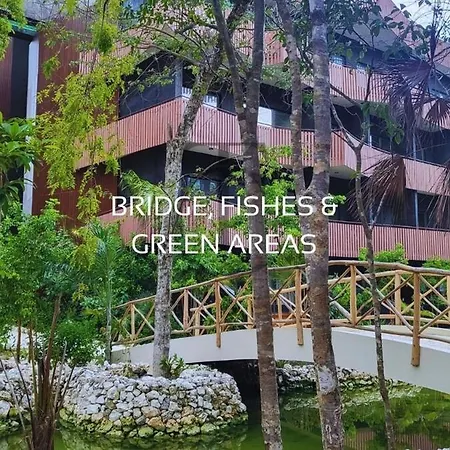 Apartment 5 Min Walk To Beach & Free Access To 2 Beach Clubs *