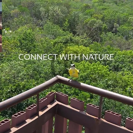 5 Min Walk To Beach & Free Access To 2 Beach Clubs * Tulum