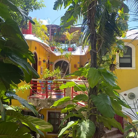 Maison Hotel