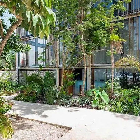 Apartment Cozy Studio, With Fast Wifi & Great Location *