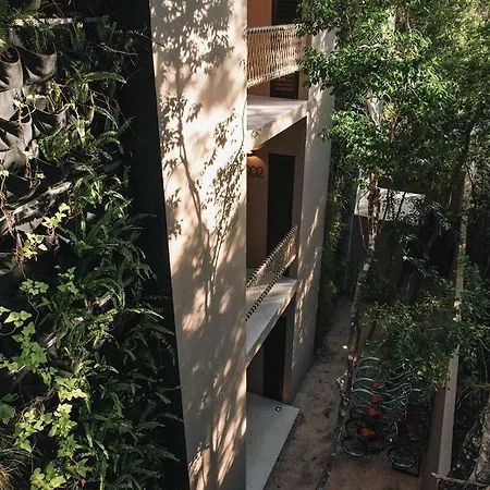Jungle Loft With Plunge Pool & Patio Apartment