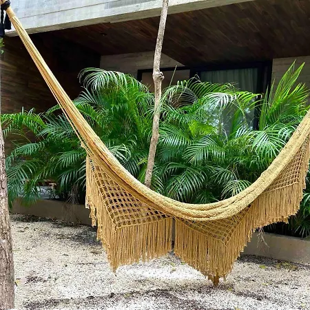 Jungle Loft With Plunge Pool & Patio Apartment *