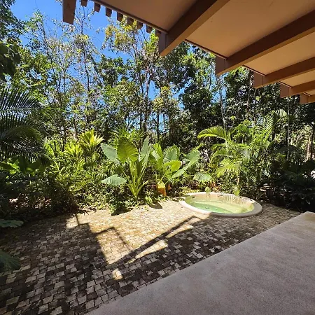 A Place For Peace And Relaxation Apartment *