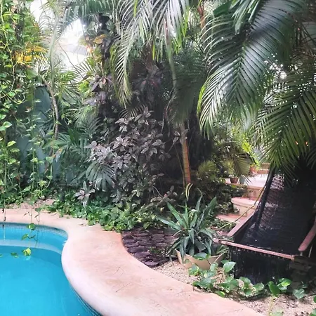 La Veleta Getaway With Pool, Garden And Downtown Access * Tulum