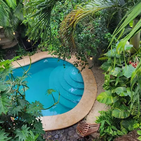 Villa La Veleta Getaway With Pool, Garden And Downtown Access