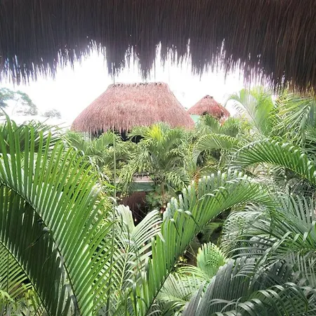 Villa La Veleta Getaway With Pool, Garden And Downtown Access *