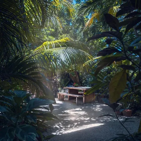 La Veleta Getaway With Pool, Garden And Downtown Access Villa Tulum
