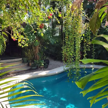 La Veleta Getaway With Pool, Garden And Downtown Access