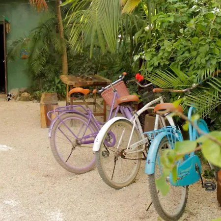 La Veleta Getaway With Pool, Garden And Downtown Access Villa Tulum